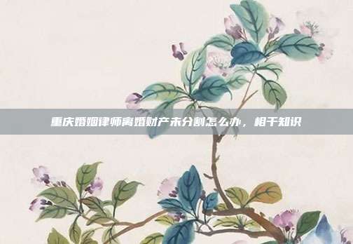 重慶婚姻律師離婚財產未分割怎么辦,相干知識