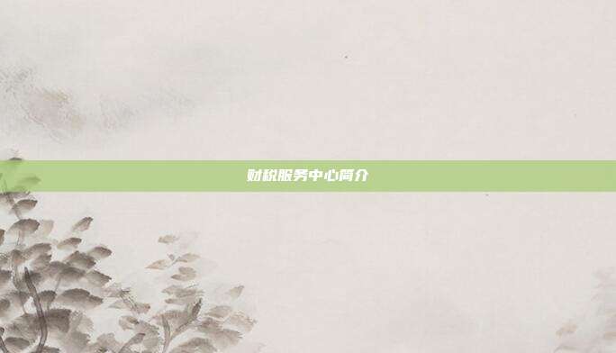 財(cái)稅服務(wù)中心簡介