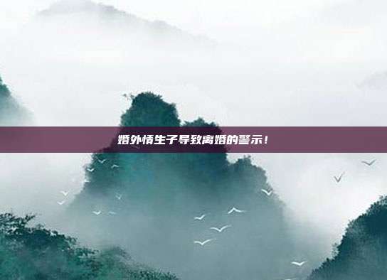 婚外情生子導(dǎo)致離婚的警示！