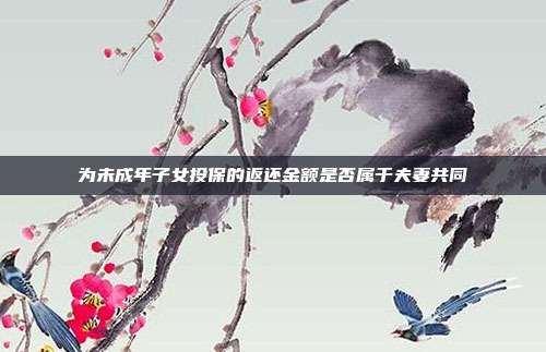 為未成年子女投保的返還金額是否屬于夫妻共同