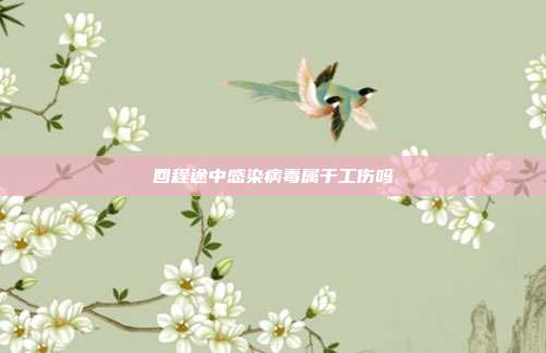 回程途中感染病毒屬于工傷嗎