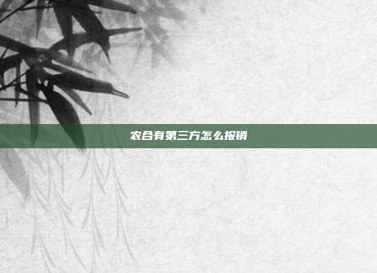 農合有第三方怎么報銷