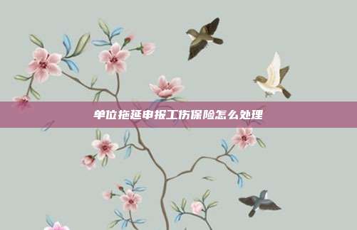 單位拖延申報工傷保險怎么處理