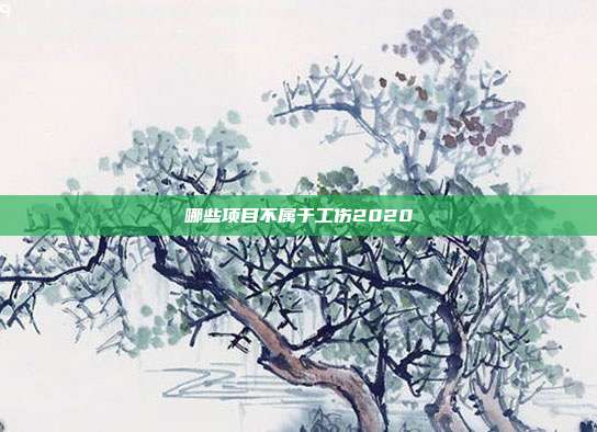 哪些項目不屬于工傷2020