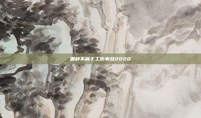 哪種不屬于工傷事故2020