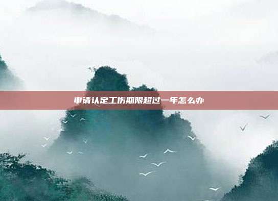 申請認定工傷期限超過一年怎么辦
