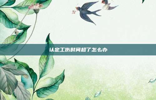 認定工傷時間超了怎么辦