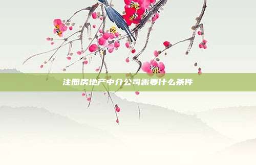 注冊房地產(chǎn)中介公司需要什么條件