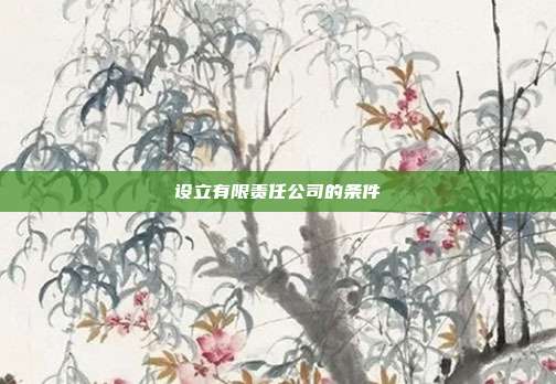 設(shè)立有限責(zé)任公司的條件