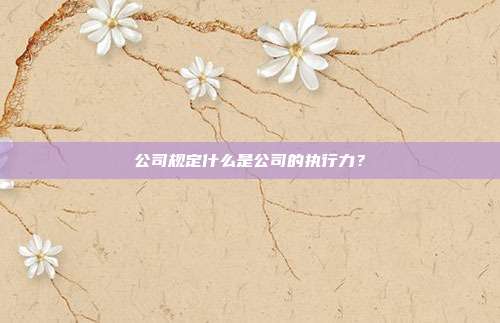 公司規定什么是公司的執行力？