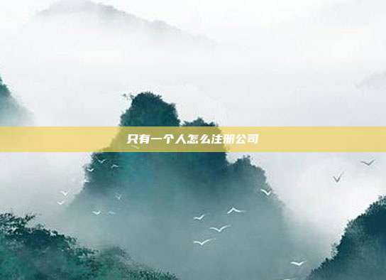 只有一個人怎么注冊公司