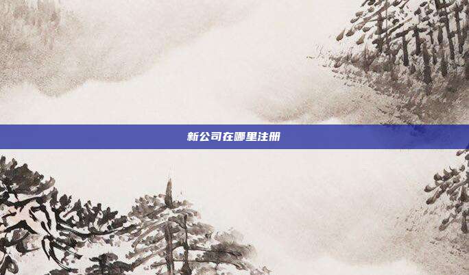 新公司在哪里注冊