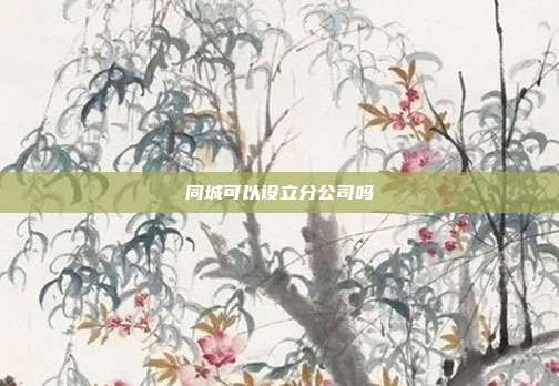 同城可以設(shè)立分公司嗎
