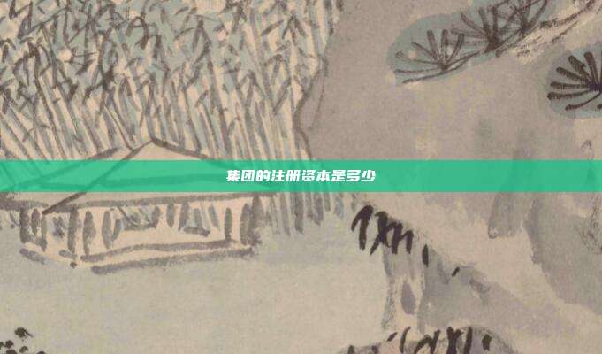 集團的注冊資本是多少