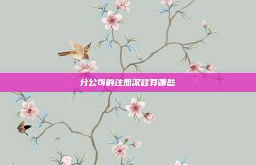 分公司的注冊流程有哪些