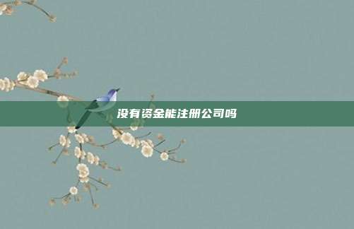 沒有資金能注冊公司嗎