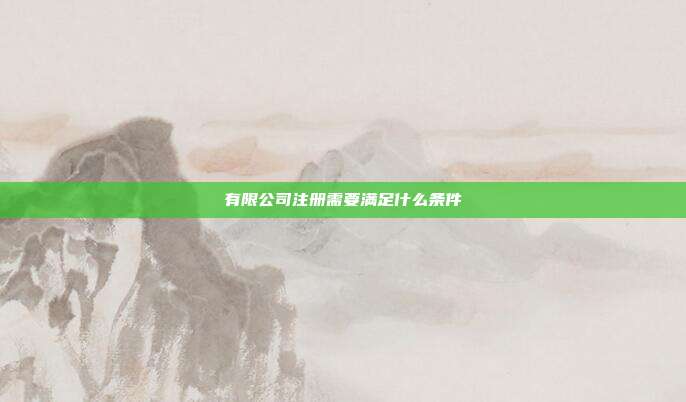 有限公司注冊需要滿足什么條件