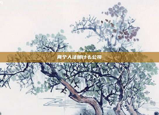 兩個人注冊什么公司