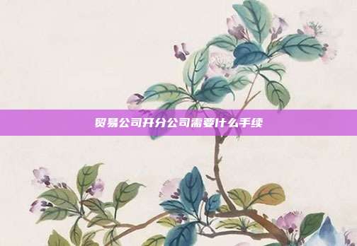 貿(mào)易公司開分公司需要什么手續(xù)