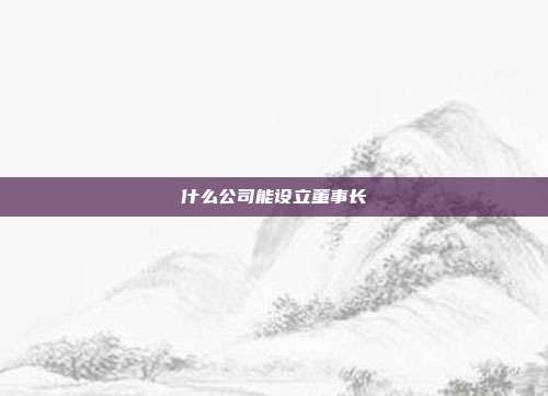 什么公司能設(shè)立董事長