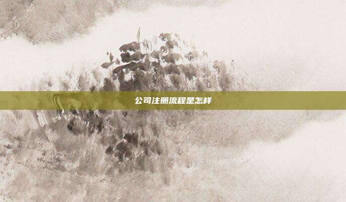 公司注冊流程是怎樣