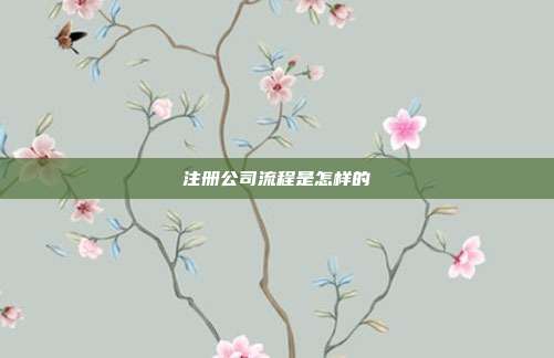 注冊公司流程是怎樣的