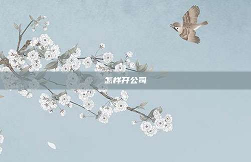 怎樣開公司