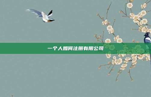 一個人如何注冊有限公司