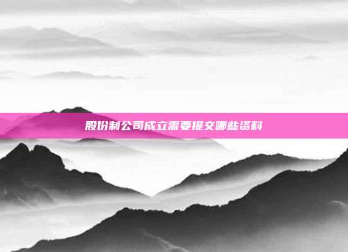 股份制公司成立需要提交哪些資料