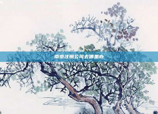 南京注冊公司去哪里辦