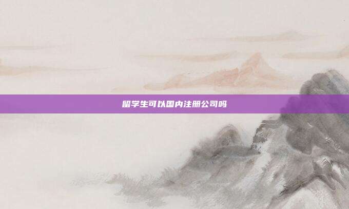 留學生可以國內注冊公司嗎