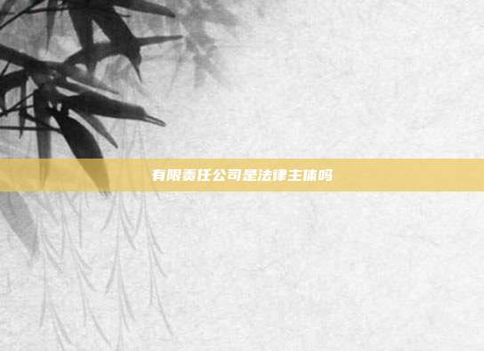 有限責任公司是法律主體嗎