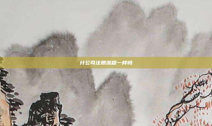 分公司注冊流程一樣嗎