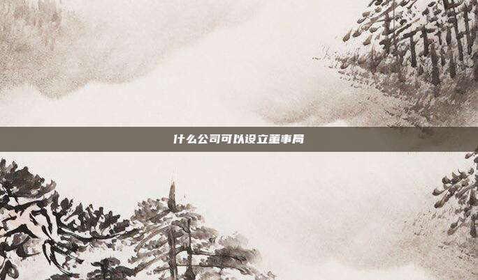 什么公司可以設立董事局