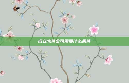 成立軟件公司需要什么條件