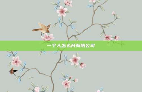 一個人怎么開有限公司