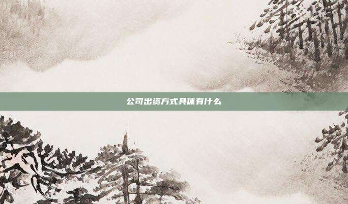 公司出資方式具體有什么