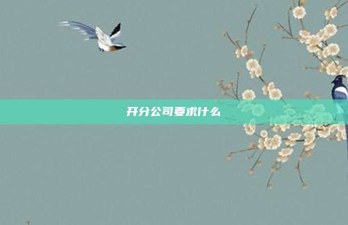 開分公司要求什么