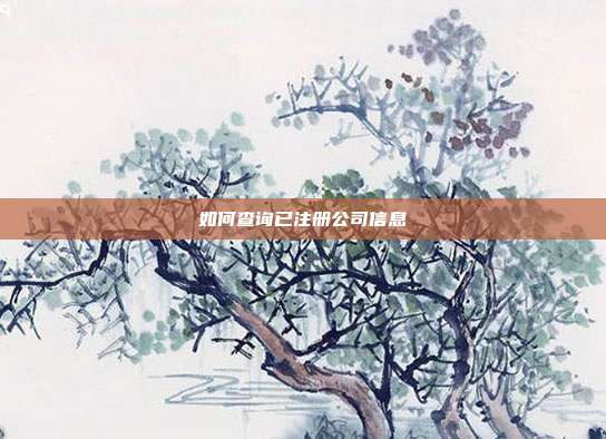 如何查詢已注冊公司信息