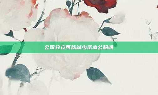公司分立可以減少資本公積嗎
