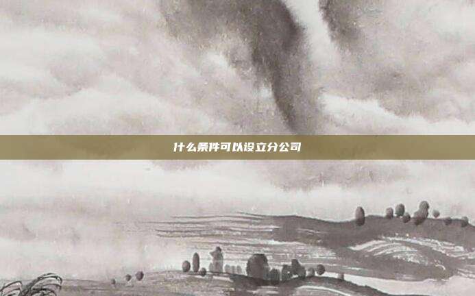 什么條件可以設立分公司
