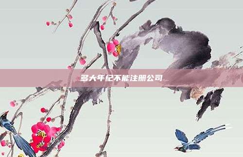 多大年紀不能注冊公司