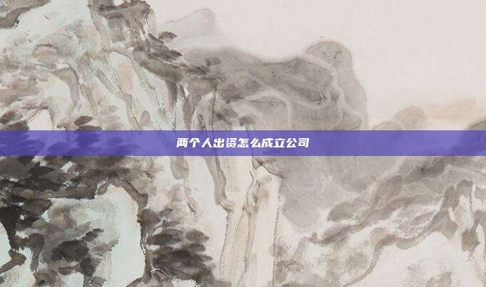 兩個人出資怎么成立公司