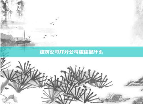 建筑公司開分公司流程是什么