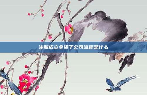 注冊(cè)成立全資子公司流程是什么