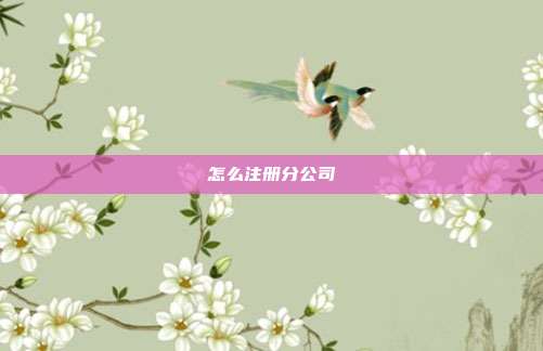 怎么注冊分公司
