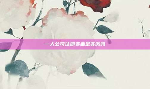 一人公司注冊資金是實繳嗎