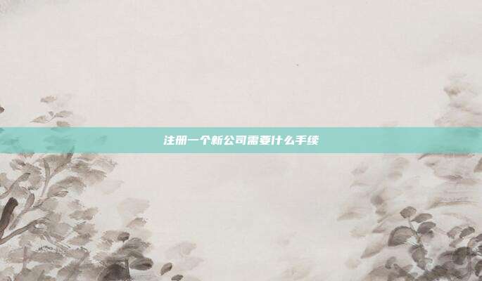 注冊一個新公司需要什么手續