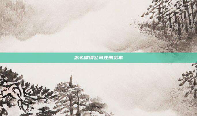 怎么繳納公司注冊資本