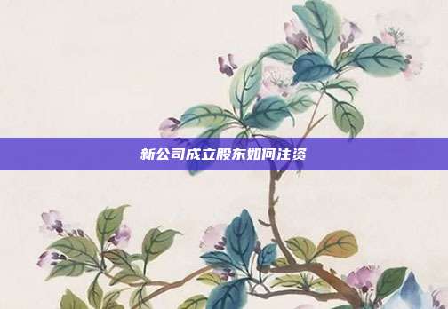 新公司成立股東如何注資